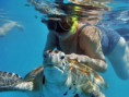 /album/fotky-barbados/barbados-jamajkanita-69-jpg/